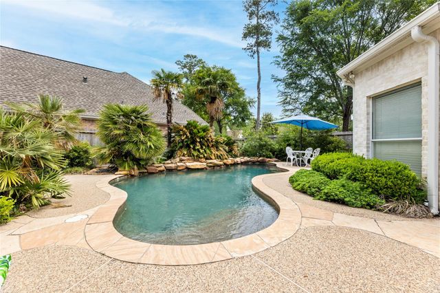 10 Acorn Cluster Court, The Woodlands, TX 77381