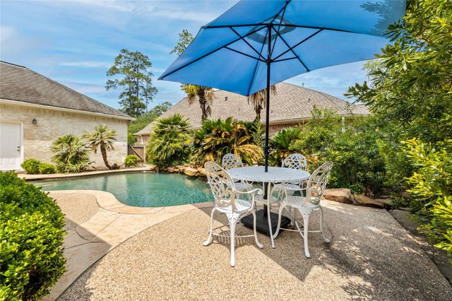 10 Acorn Cluster Court, The Woodlands, TX 77381