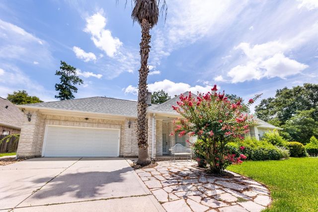 10 Acorn Cluster Court, The Woodlands, TX 77381