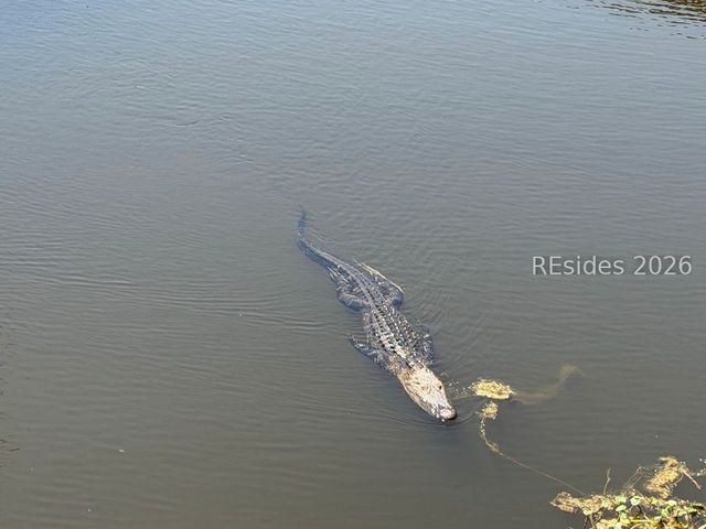 10 S Forest Beach Dr Apt 104, Hilton Head Island, SC 29928
