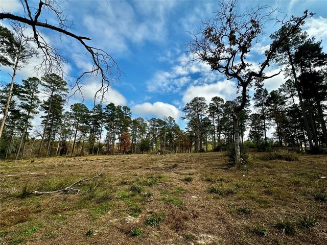 15238 Crape Myrtle Lane, Navasota, TX 77868