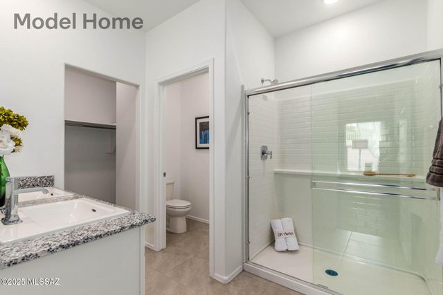 10125 N Camperi Lane, Marana, AZ 85653