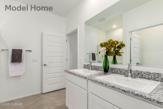 10125 N Camperi Lane, Marana, AZ 85653