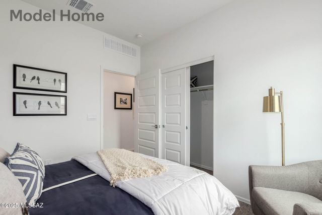 10125 N Camperi Lane, Marana, AZ 85653
