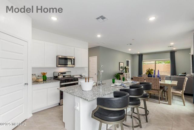 10125 N Camperi Lane, Marana, AZ 85653