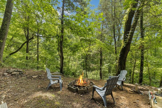3031 Blue Buck Creek Rd, Duck River, TN 38454