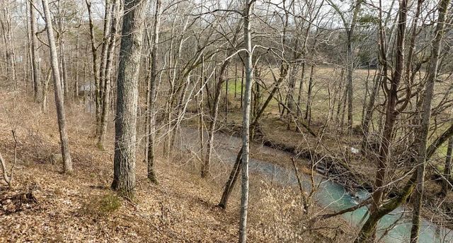 3031 Blue Buck Creek Rd, Duck River, TN 38454