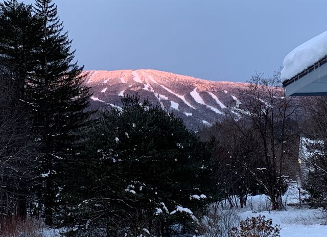 32 Route 103 South C5, Ludlow, VT 05149