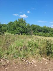 Tbd Tr 2 North Farm Rd 215, Fair Grove, MO 65648