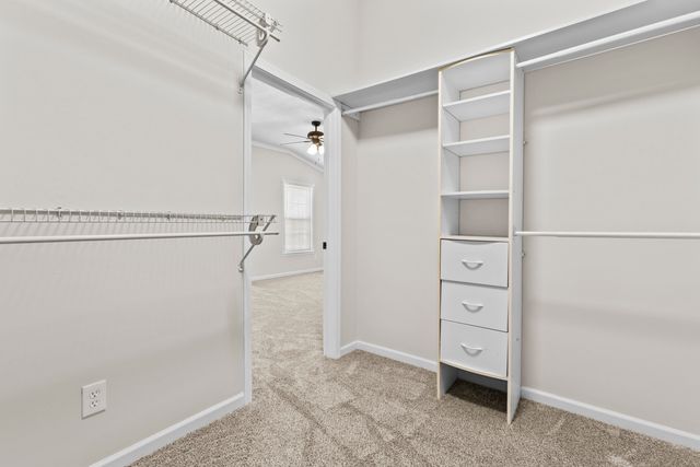 309 Richmond Avenue, Lexington, KY 40502