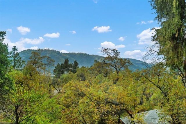 39566 Clearwater Drive, Oak Glen, CA 92399