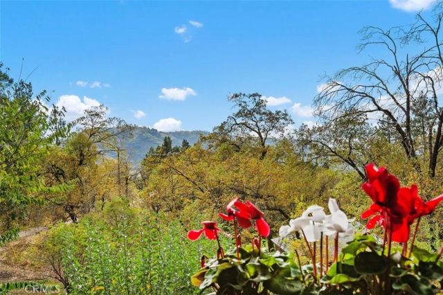 39566 Clearwater Drive, Oak Glen, CA 92399