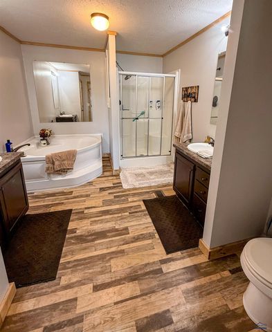 22124 SADDLE RD, Piedmont, SD 57769