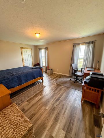 22124 SADDLE RD, Piedmont, SD 57769