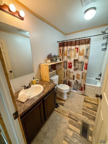 22124 SADDLE RD, Piedmont, SD 57769