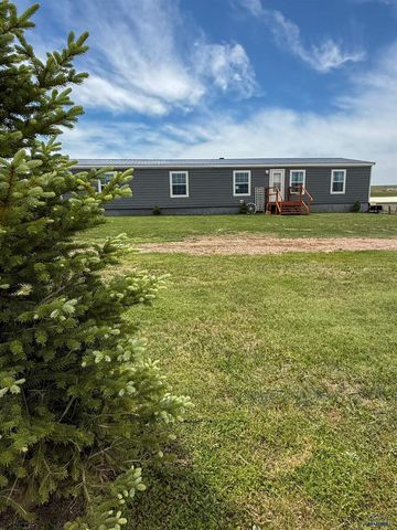 22124 SADDLE RD, Piedmont, SD 57769