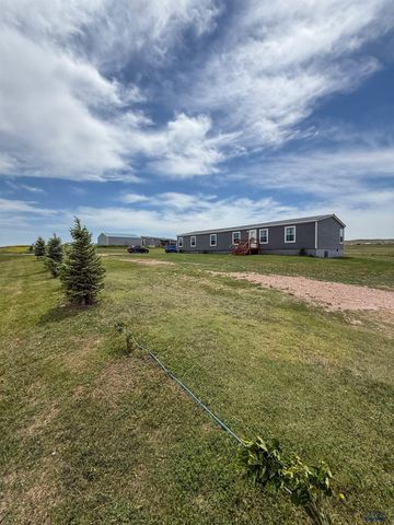 22124 SADDLE RD, Piedmont, SD 57769