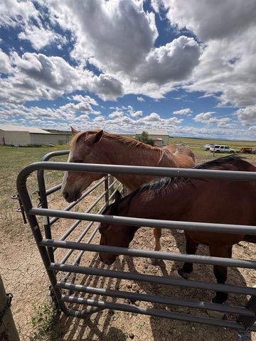 22124 SADDLE RD, Piedmont, SD 57769