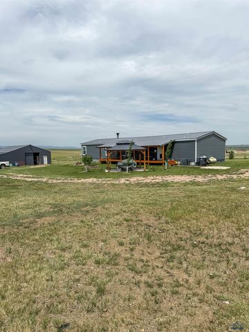22124 SADDLE RD, Piedmont, SD 57769