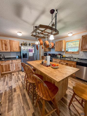 22124 SADDLE RD, Piedmont, SD 57769