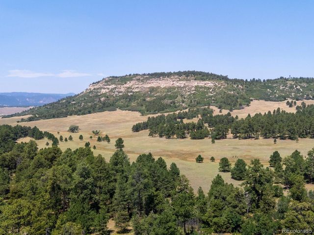 15969 Ray Drive, Larkspur, CO 80118