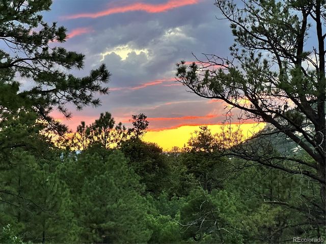 15969 Ray Drive, Larkspur, CO 80118