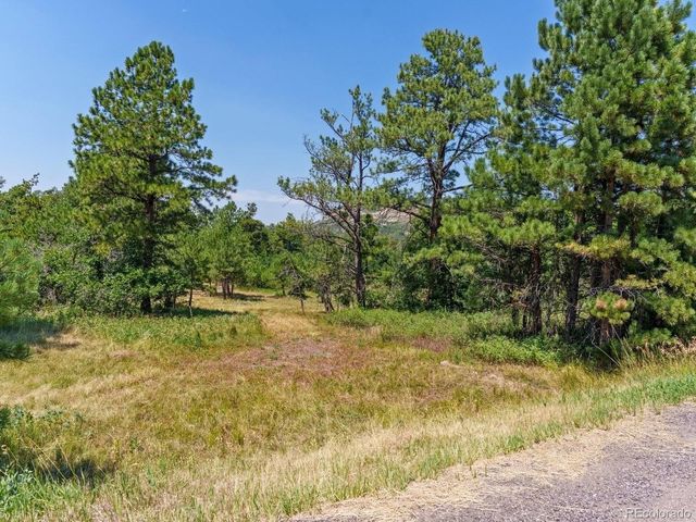 15969 Ray Drive, Larkspur, CO 80118