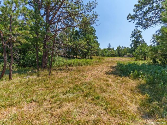 15969 Ray Drive, Larkspur, CO 80118
