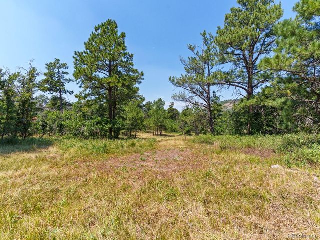 15969 Ray Drive, Larkspur, CO 80118