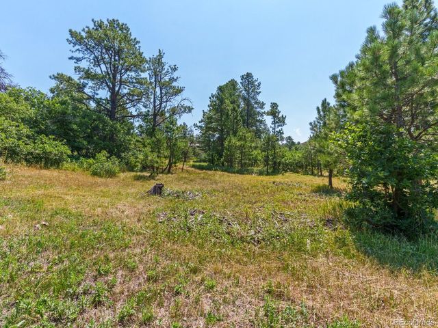 15969 Ray Drive, Larkspur, CO 80118