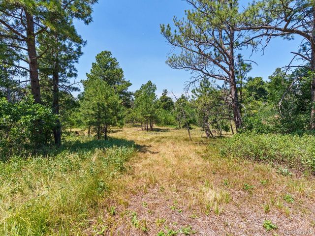 15969 Ray Drive, Larkspur, CO 80118