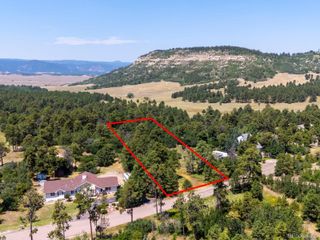 15969 Ray Drive, Larkspur, CO 80118