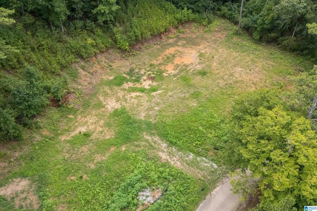 3037 VANCE STREET, Pelham, AL 35124