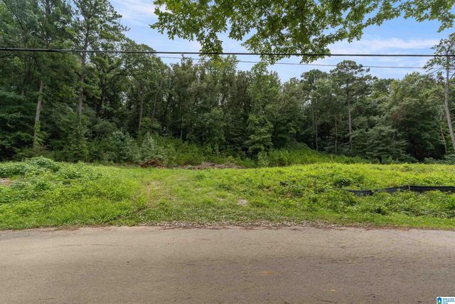 3037 VANCE STREET, Pelham, AL 35124