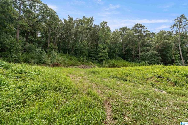 3037 VANCE STREET, Pelham, AL 35124