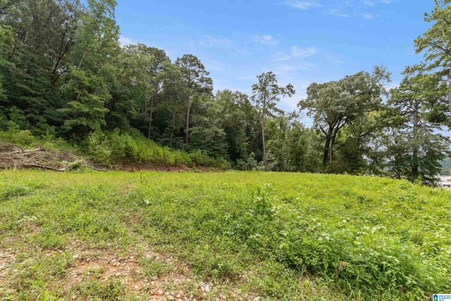 3037 VANCE STREET, Pelham, AL 35124