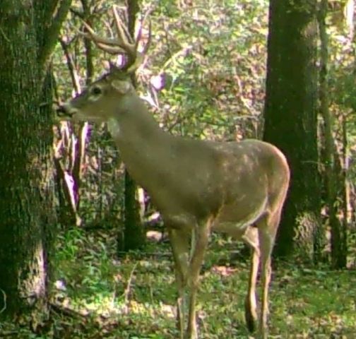 3720 Fm 1568, Campbell, TX 75422