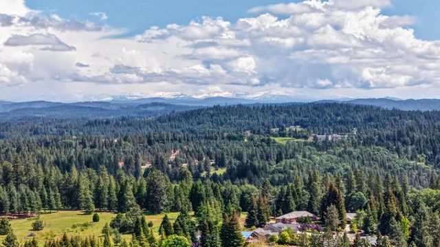 3597 Camino Hills Dr, Camino, CA 95709