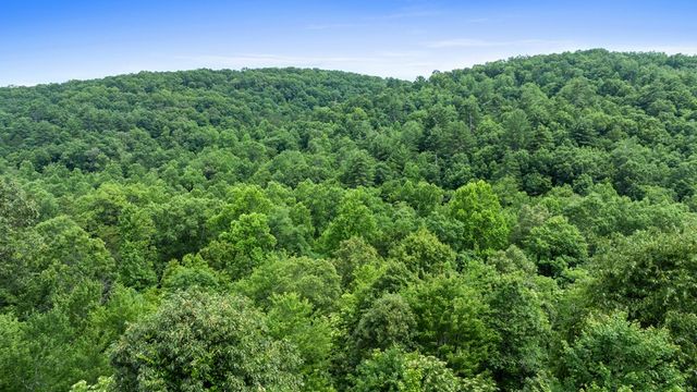 98 Shalom Lane, Blue Ridge, GA 30513
