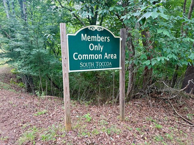 98 Shalom Lane, Blue Ridge, GA 30513