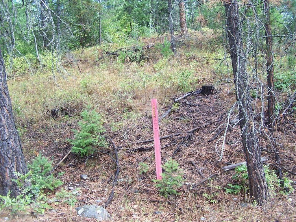 3XXX Lot #13 Larkspur Way, Kettle Falls, WA 99141 photo 4