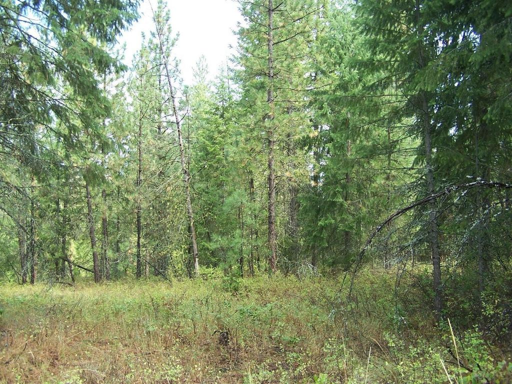 3XXX Lot #13 Larkspur Way, Kettle Falls, WA 99141 photo 5