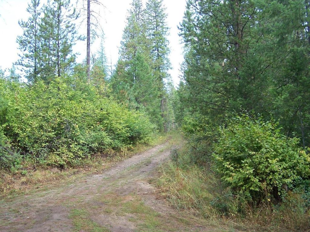 3XXX Lot #13 Larkspur Way, Kettle Falls, WA 99141 photo 6