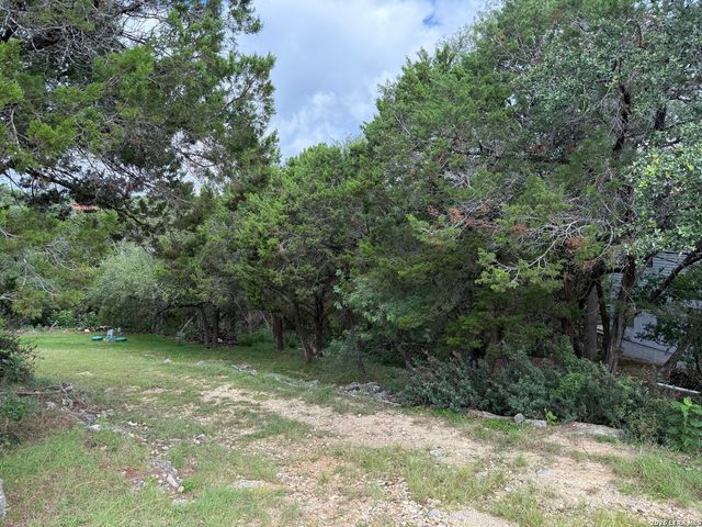 295 Nancy, Canyon Lake, TX 78133