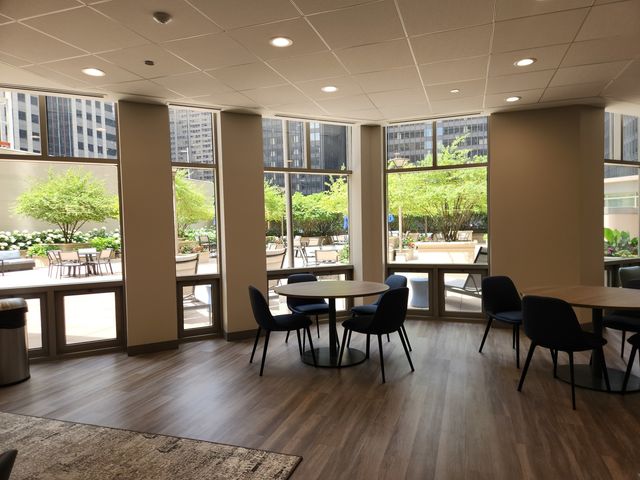 222 N Columbus Drive 3805, Chicago, IL 60601