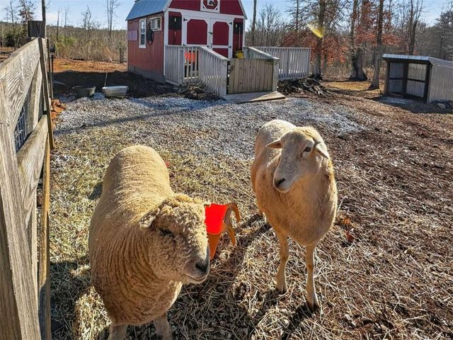 285 Dial Mill Road, Oxford, GA 30054