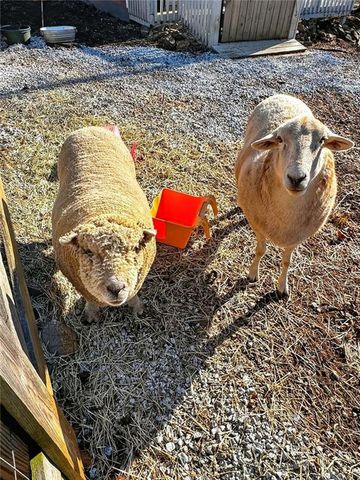 285 Dial Mill Road, Oxford, GA 30054