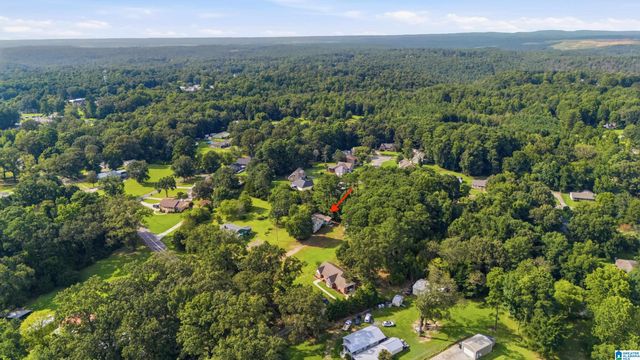 3093 MOUNT OLIVE ROAD, Mount Olive, AL 35117