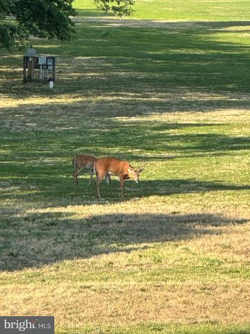 3 RICHARDSON WAY, Rehoboth Beach, DE 19971