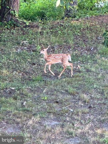 3 RICHARDSON WAY, Rehoboth Beach, DE 19971